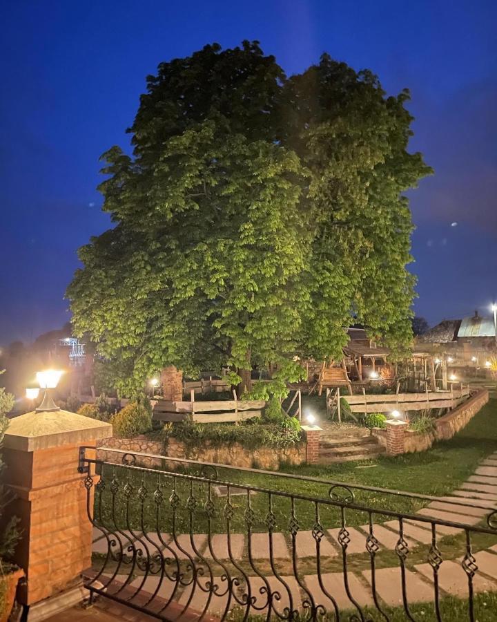 Kastely Grof Zichy Hotel Haniska Exterior foto